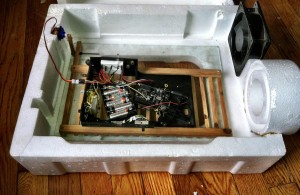 Inside the Automatic Egg Incubator