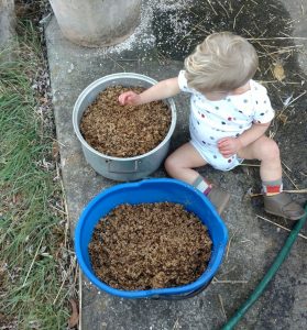 Babies and Beer Grain