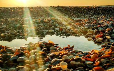 Jacksonville to St Joseph Peninsula State Park – 260 Miles